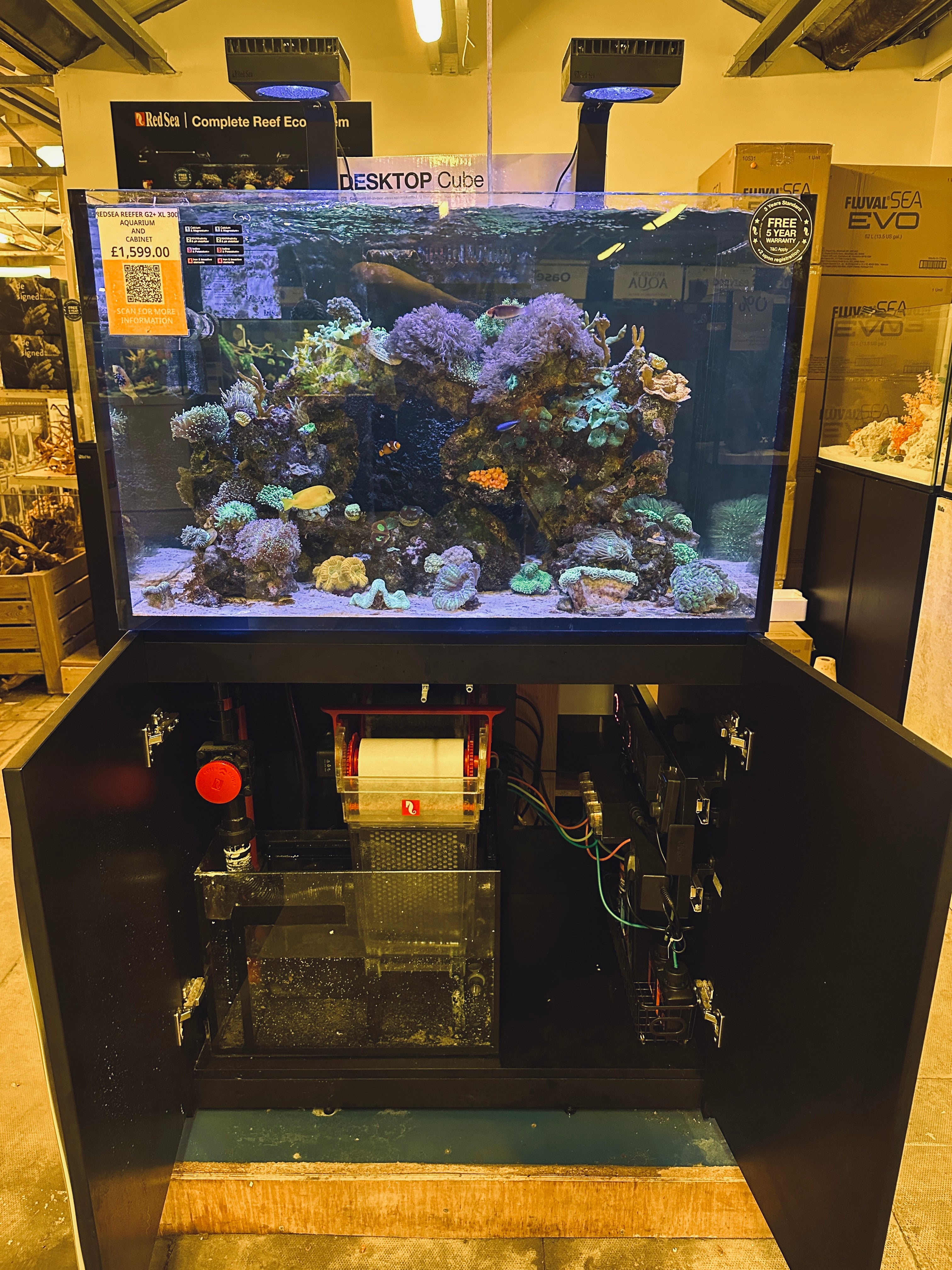 How We've Kept Our display RedSea 300XL Marine Aquarium Without Water Changes