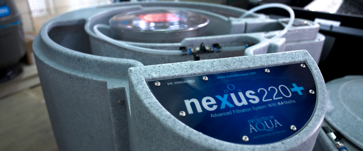 Demonstrating The Nexus Filter From Evolution Aqua