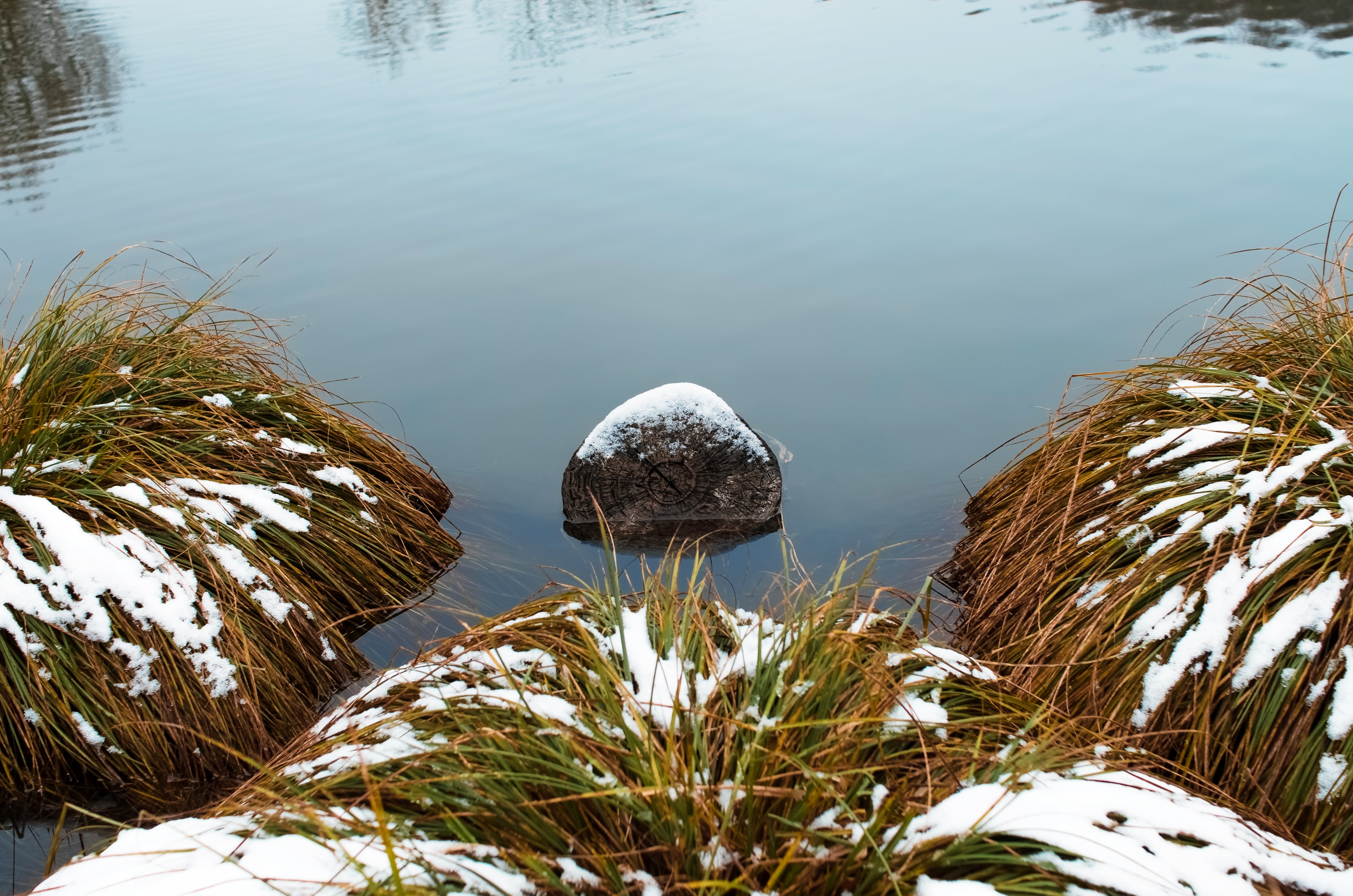 Pond Winterisation Guide: Preparing Your Pond & Fish for Winter