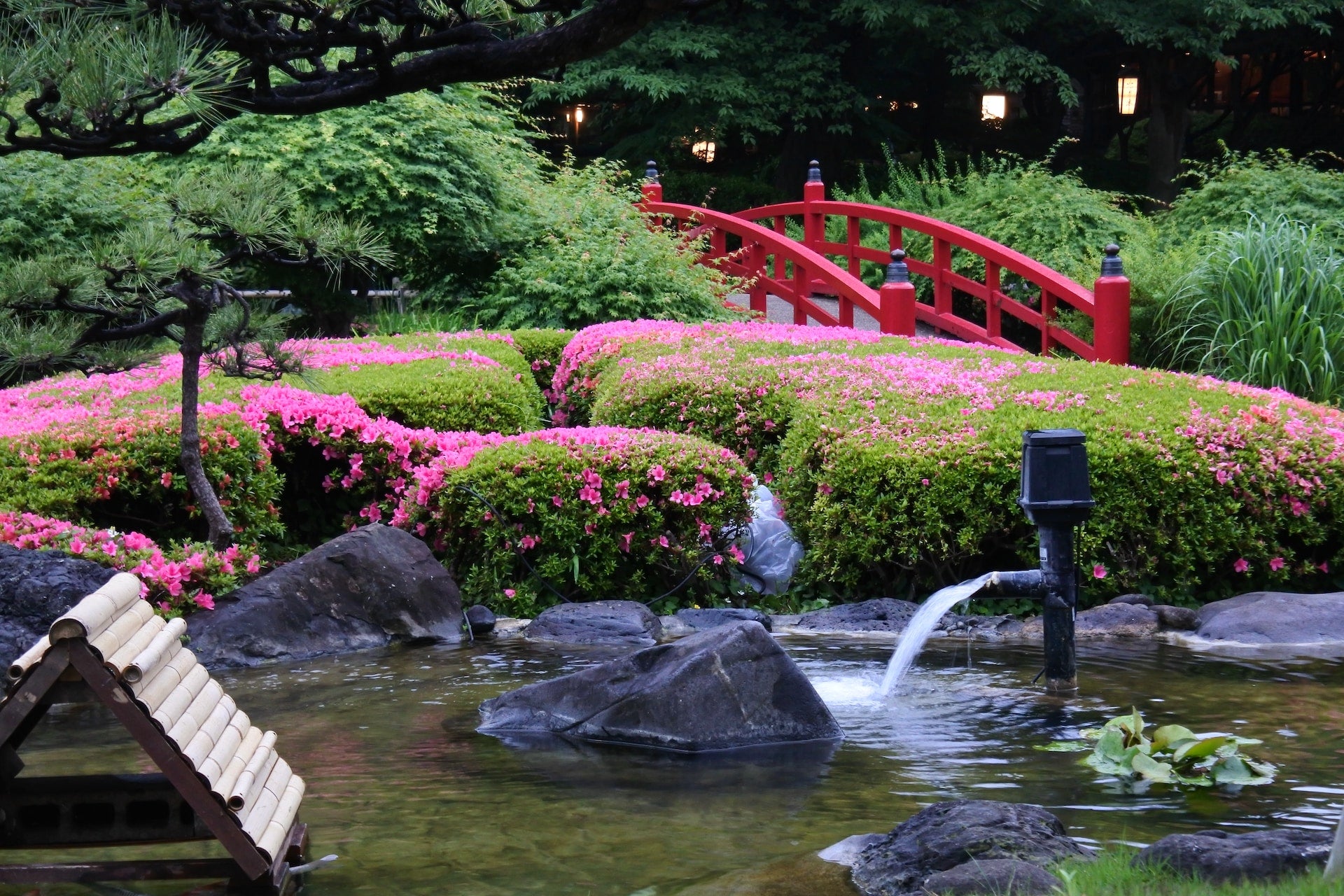 Water Garden Wonders: A Complete Guide to Creating and Maintaining a Beautiful, Tranquil Water Garden Sanctuary