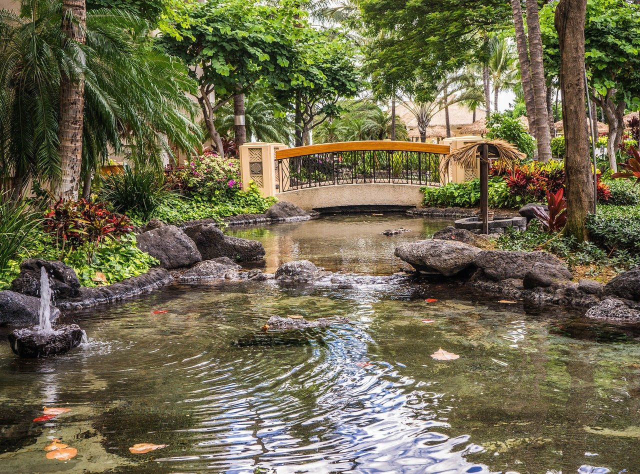 A Guide to Pond Water Treatments: Restoring Balance and Clarity to Your Garden Oasis