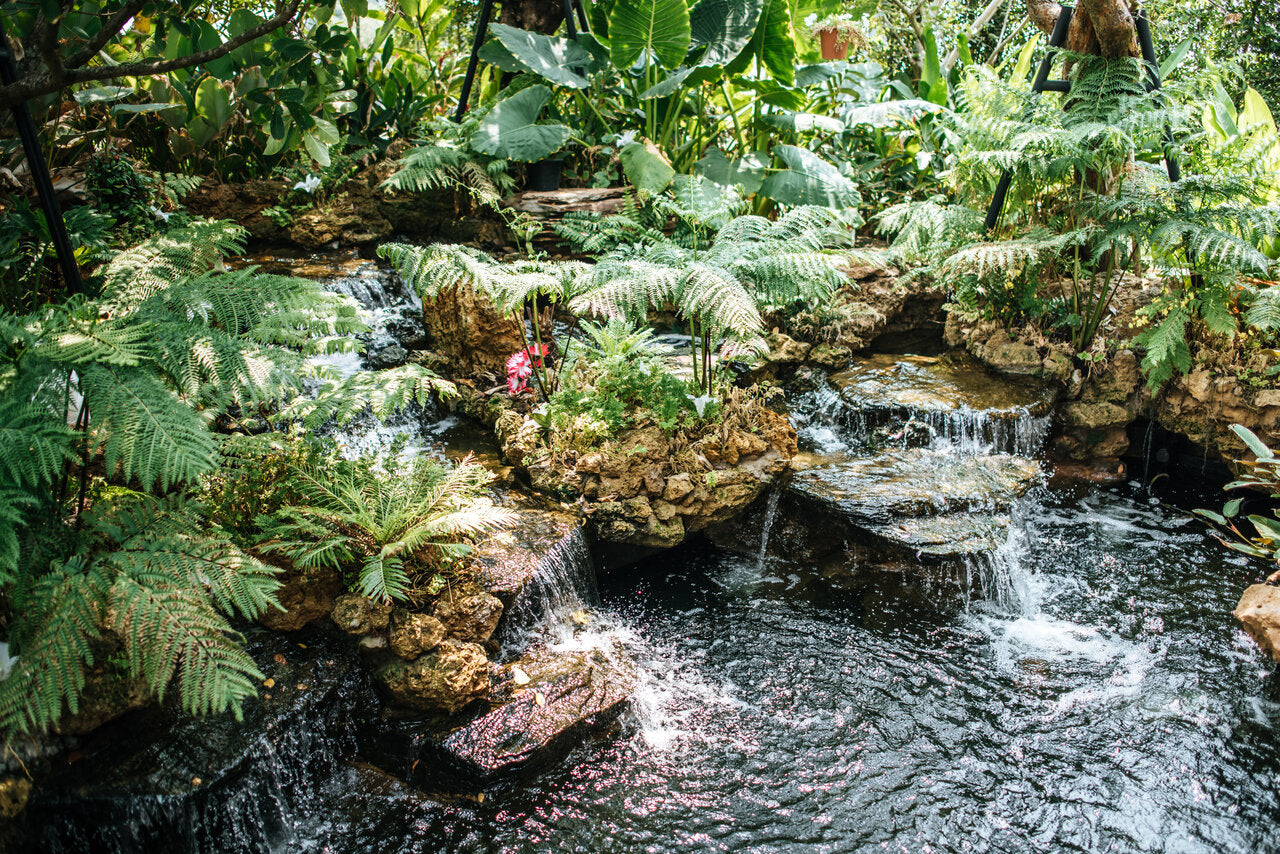 Watergarden Wonders: Creating a Serene Outdoor Sanctuary with Ponds, Fountains, and Aquatic Plants