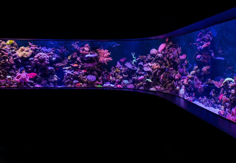 Marine Aquarium