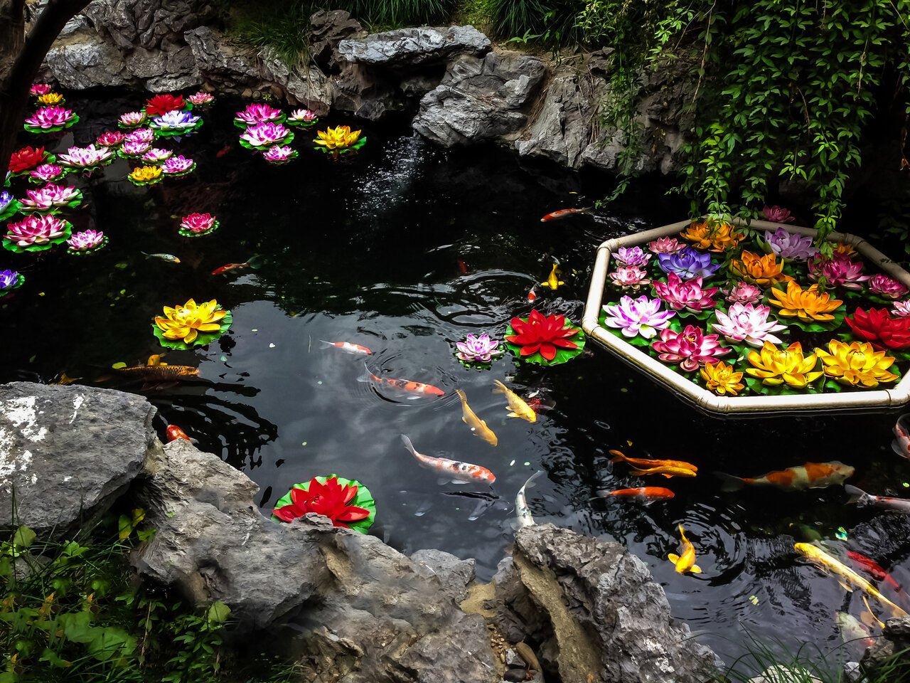 The Ultimate Guide to Maintaining Garden Pond Water Quality - Perfect Aquatics Ltd