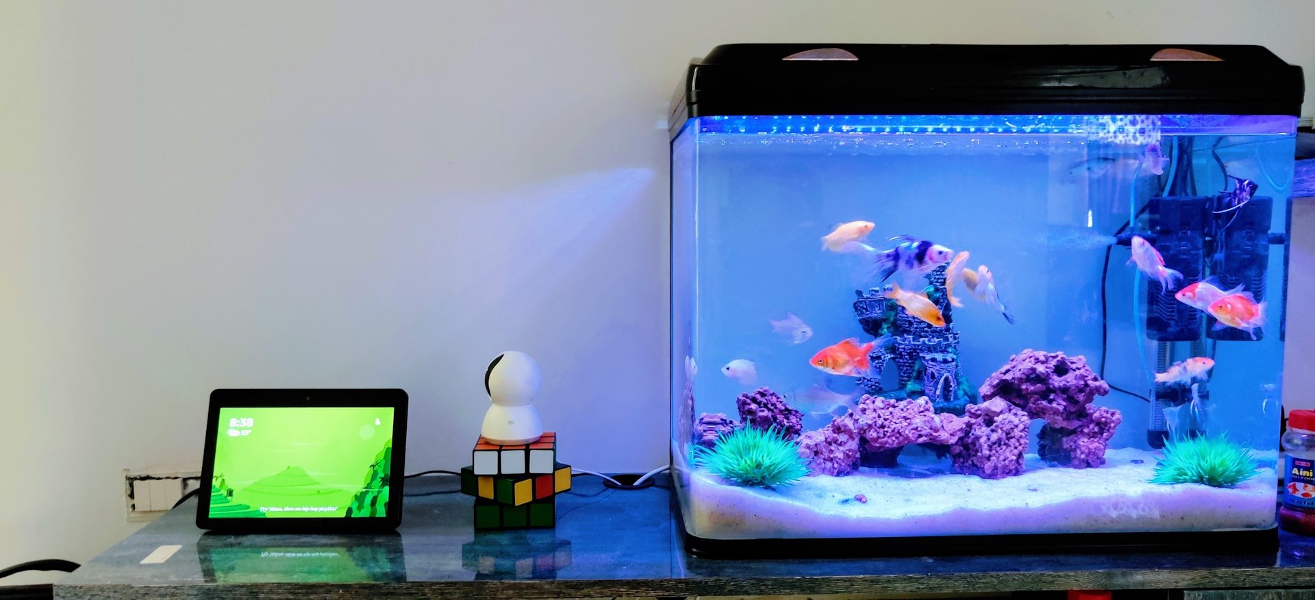 Mastering Filter Media for Pristine Water Quality in 2024 - Perfect Aquatics Ltd