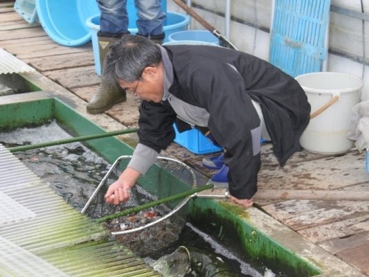 Takano - Perfect Aquatics Ltd