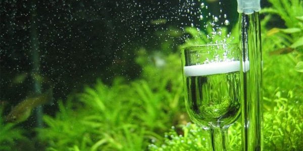 CO2 Kits - Perfect Aquatics Ltd