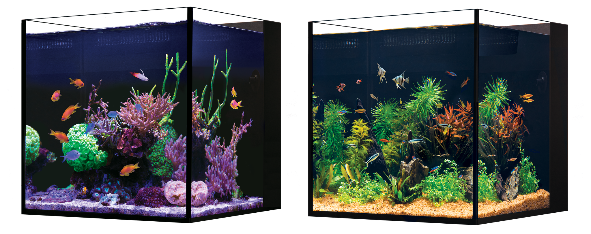 Red Sea Desktop Aquariums - Perfect Aquatics Ltd