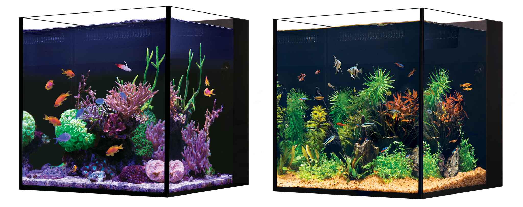 Red Sea Desktop Aquariums