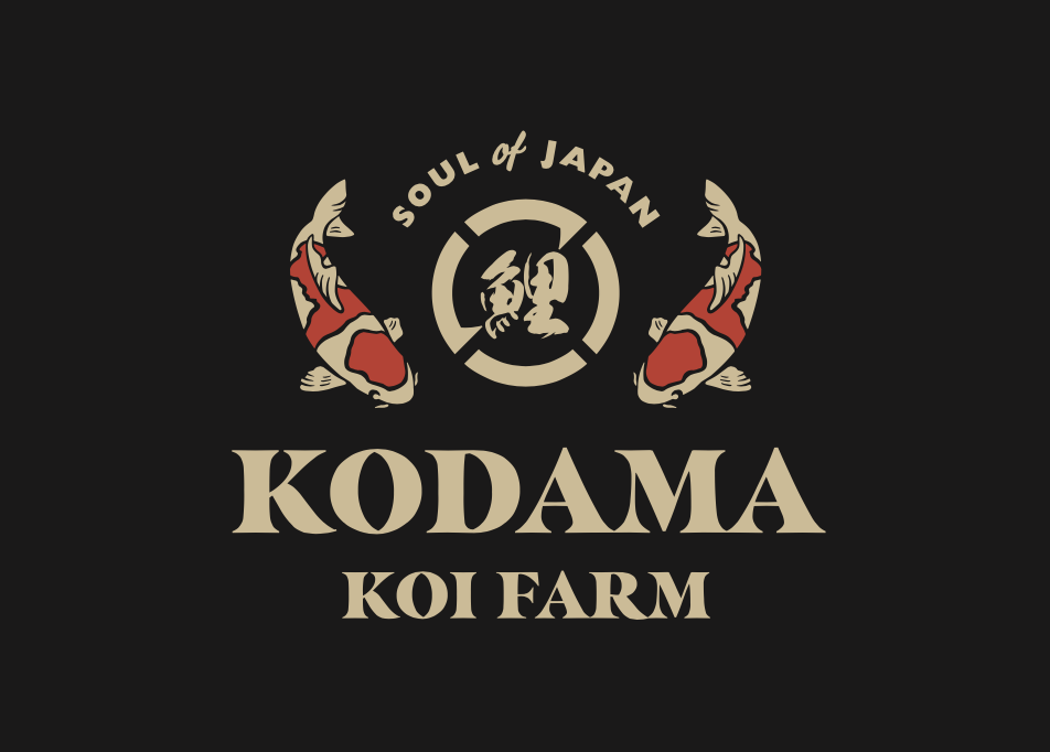 Koda - Perfect Aquatics Ltd