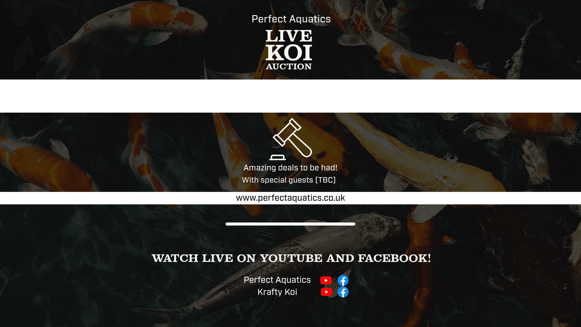Perfect Aquatics Koi Auction - Perfect Aquatics Ltd