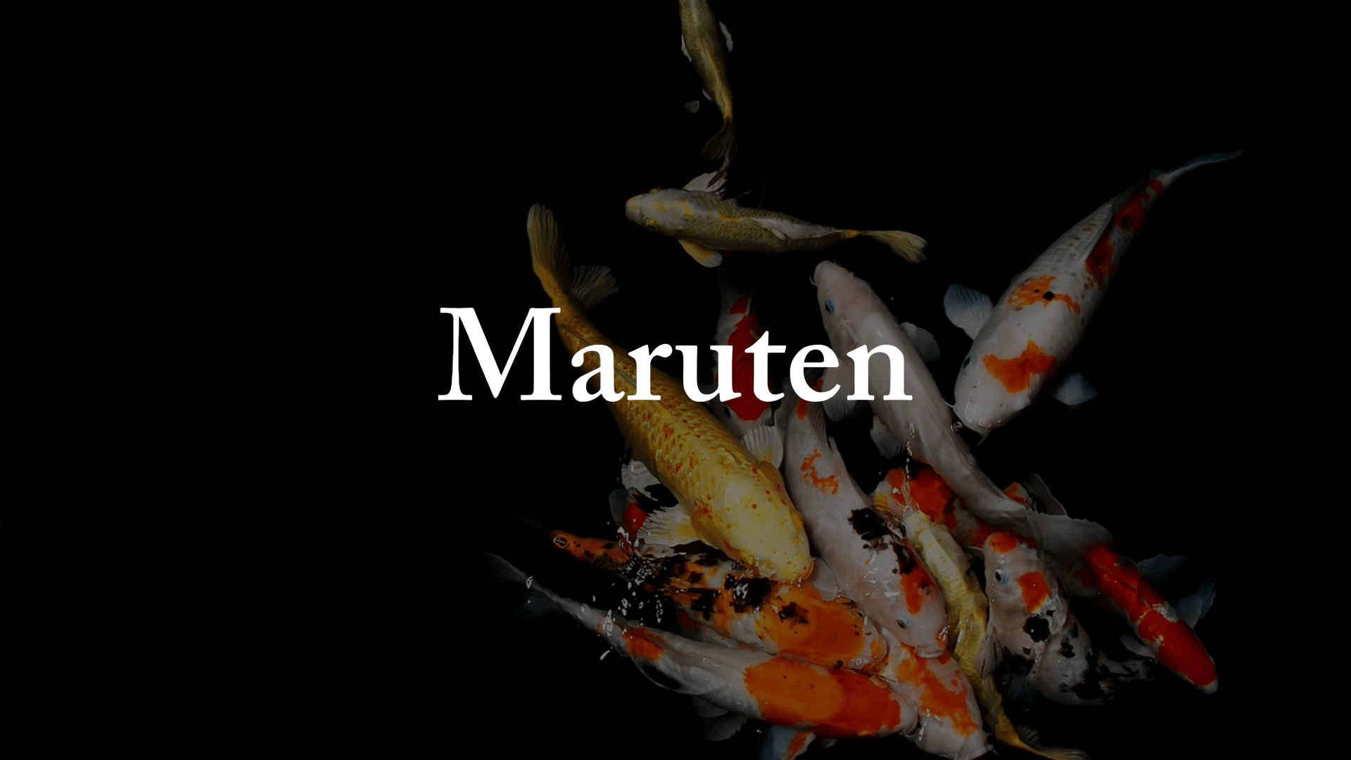 Maruten - Perfect Aquatics Ltd