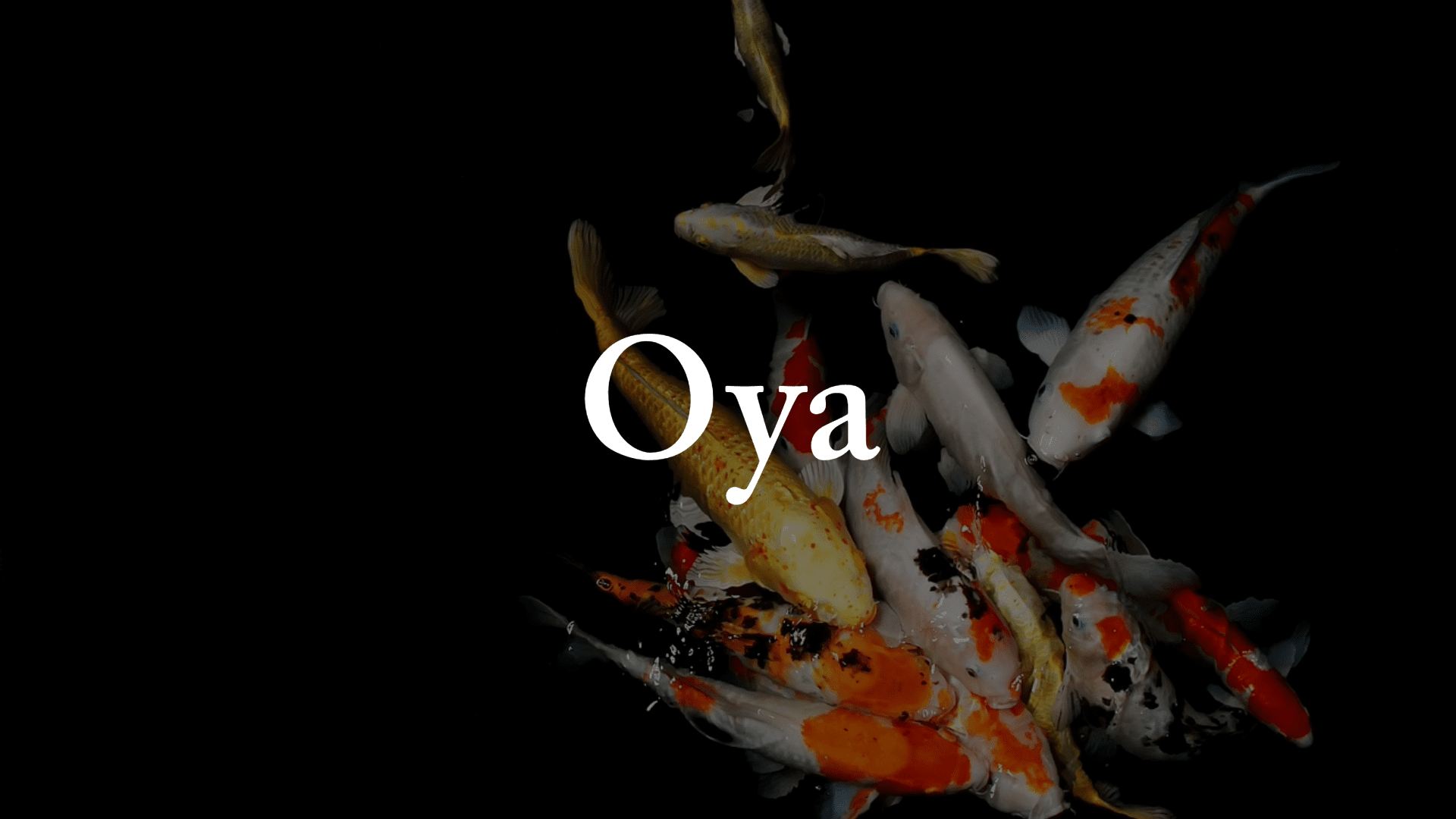 Oya - Perfect Aquatics Ltd