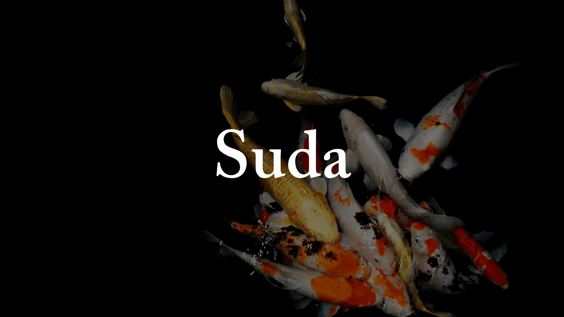 Suda - Perfect Aquatics Ltd