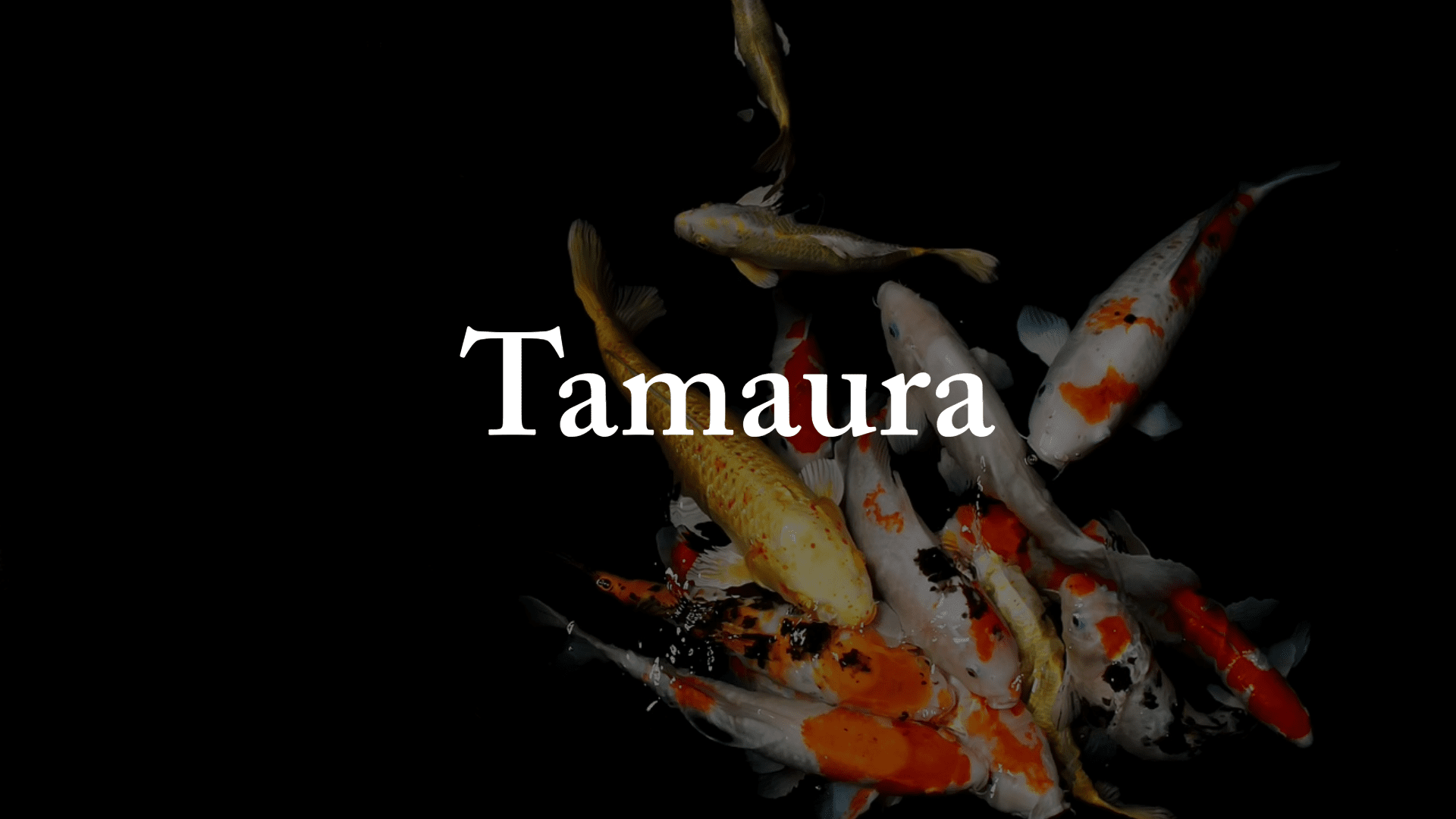Tamaura - Perfect Aquatics Ltd
