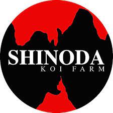 Shinoda - Perfect Aquatics Ltd