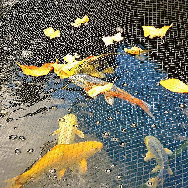 Pond Covers - Perfect Aquatics Ltd