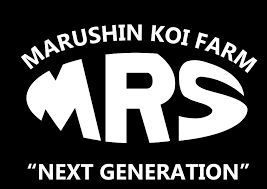 Marushin - Perfect Aquatics Ltd