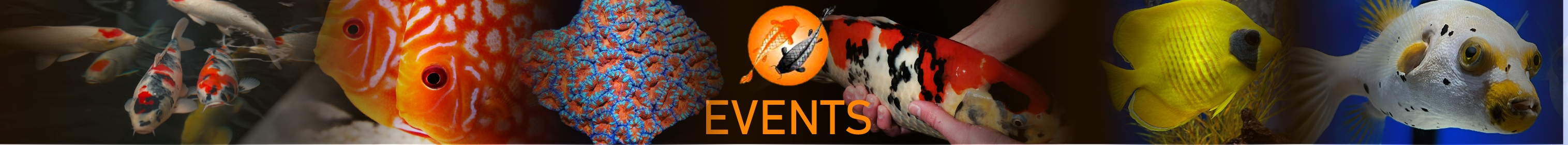 Events