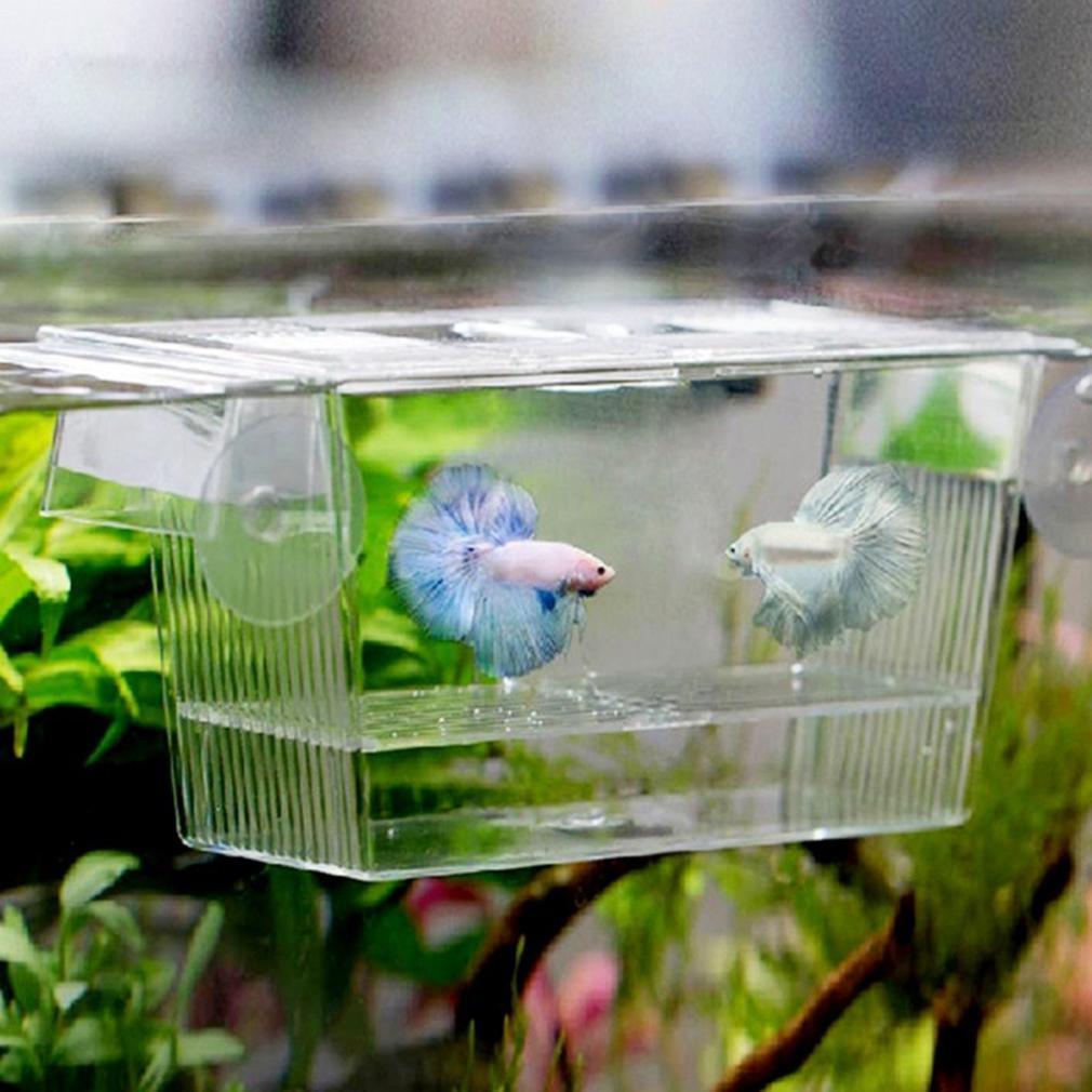 Breeding Traps - Perfect Aquatics Ltd