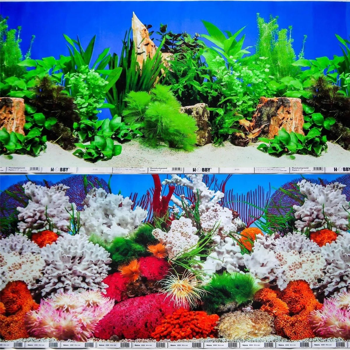 Aquarium Backgrounds - Perfect Aquatics Ltd