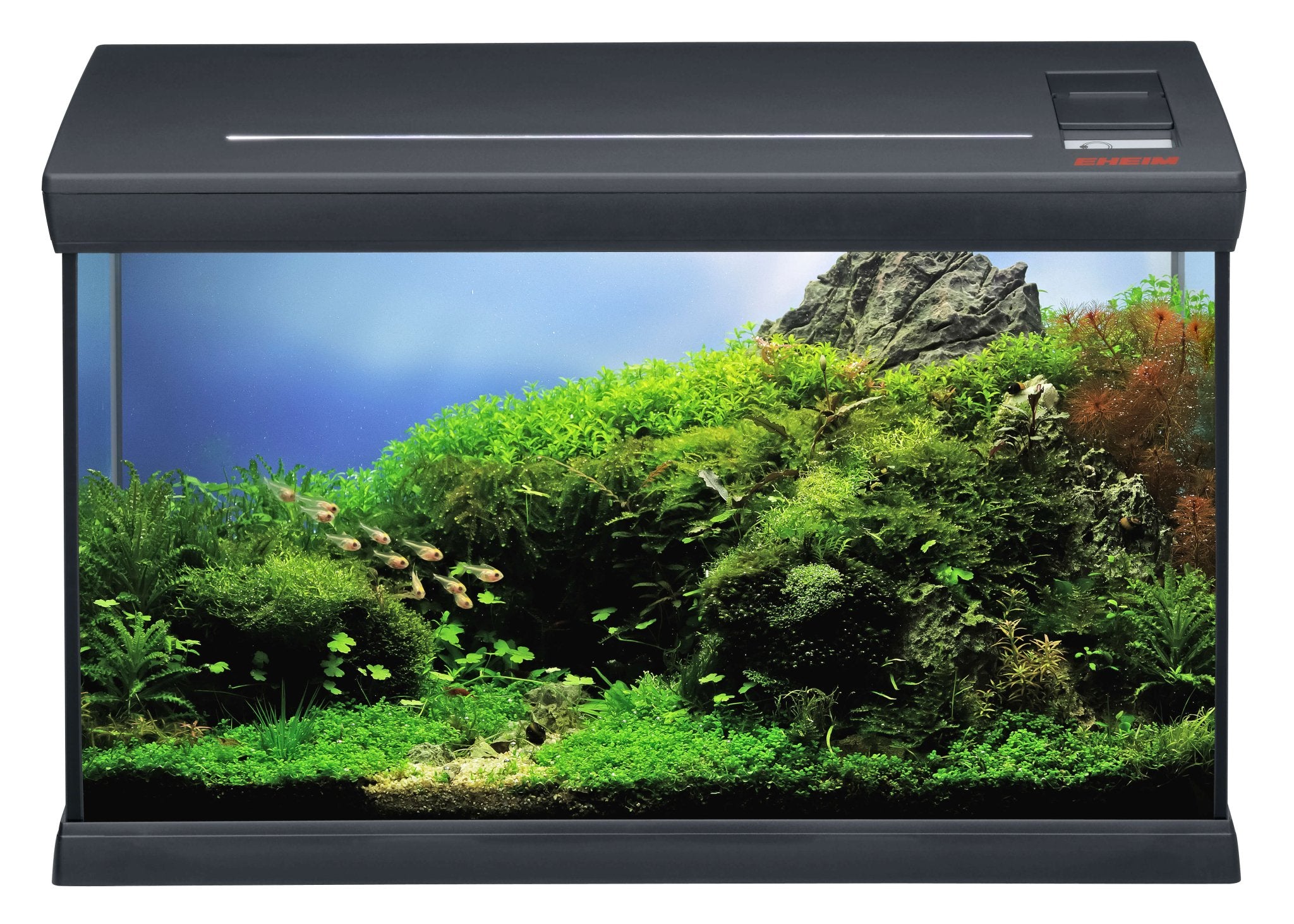 EHEIM Aquafamily Aquarium - Perfect Aquatics Ltd