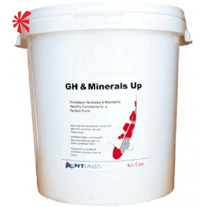 NT Labs GH Minerals Up