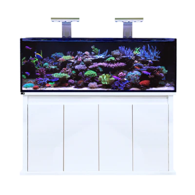 D-D Reef-Pro 1500S Aquarium - Clarisea Ready Sump