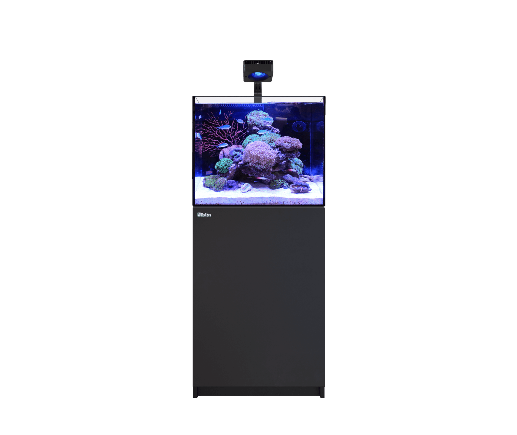 Red Sea Reefer Max G3 170 Aquarium - Perfect Aquatics Ltd