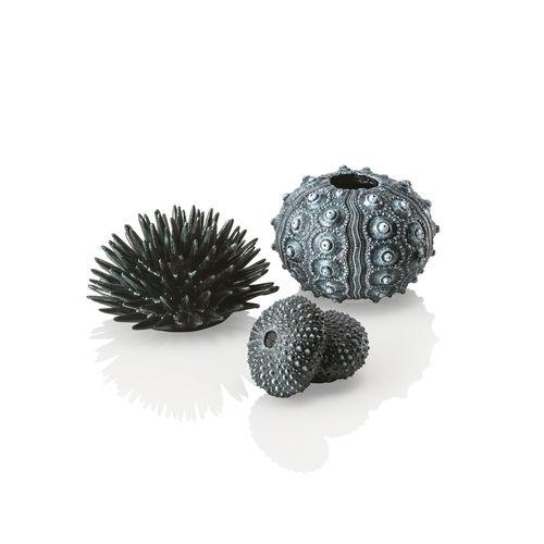 BiOrb Sea Urchins Set of 3