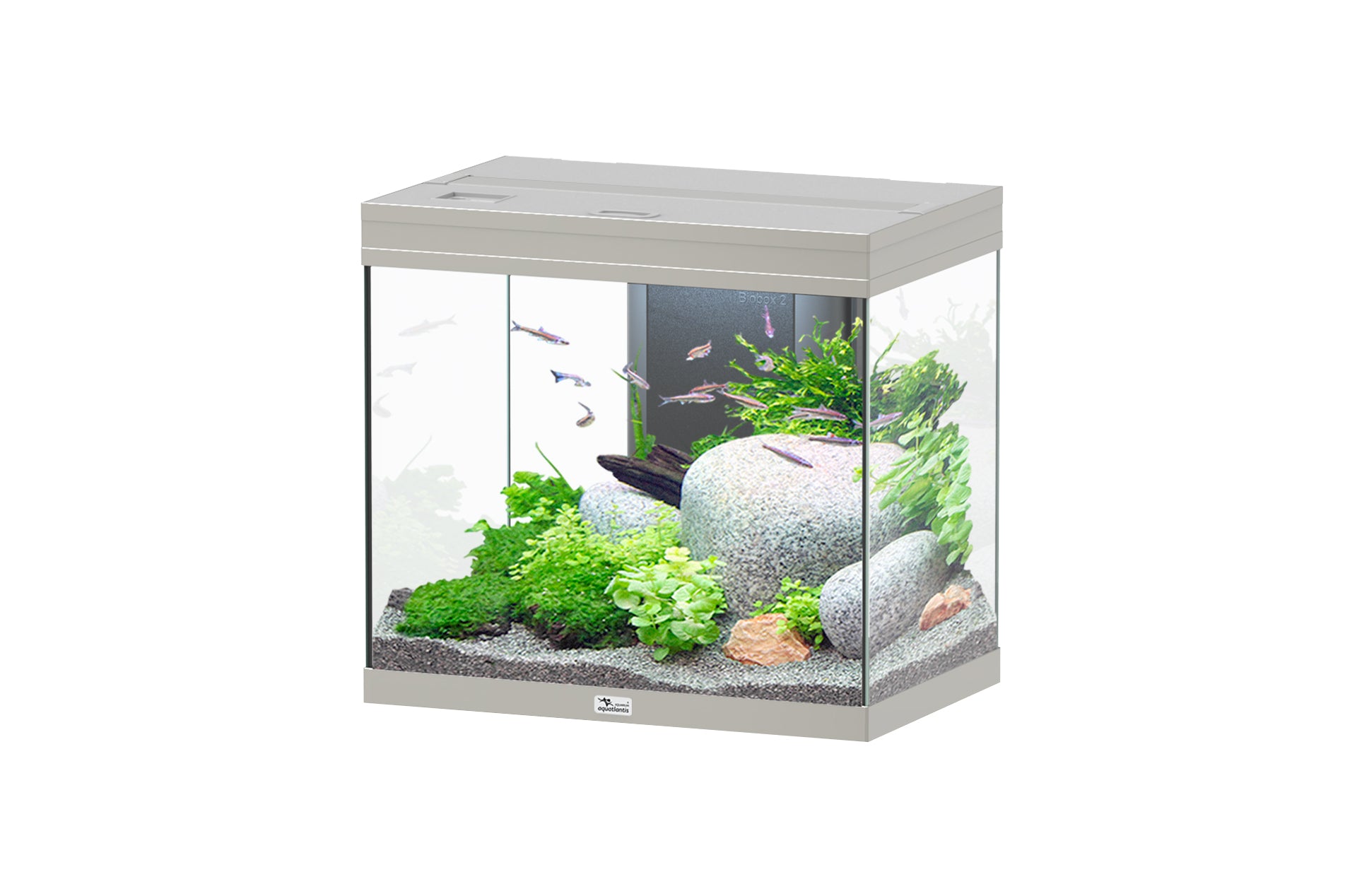 Aquatlantis Splendid Ultra 60 - Perfect Aquatics Ltd