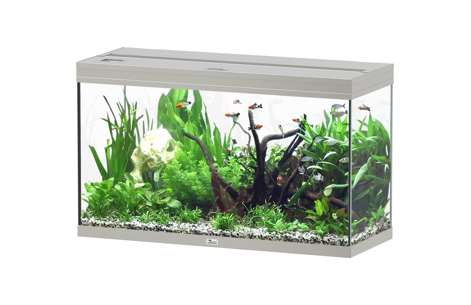 Aquatlantis Splendid Ultra 100 - Perfect Aquatics Ltd