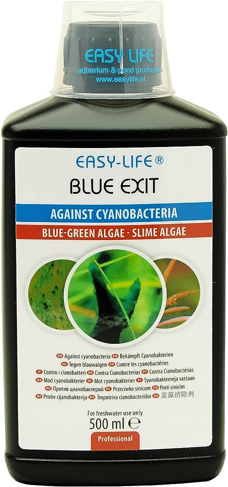 Easy-Life Blue Exit