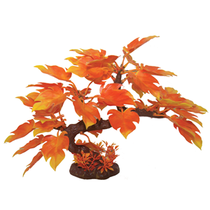 Hugo Bonsai Autumn Oak 23Cm
