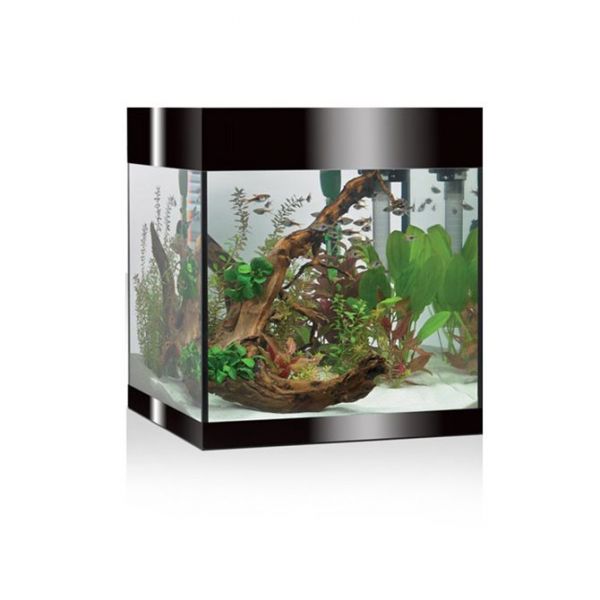 Askoll Pure Medium Aquarium and Cabinet