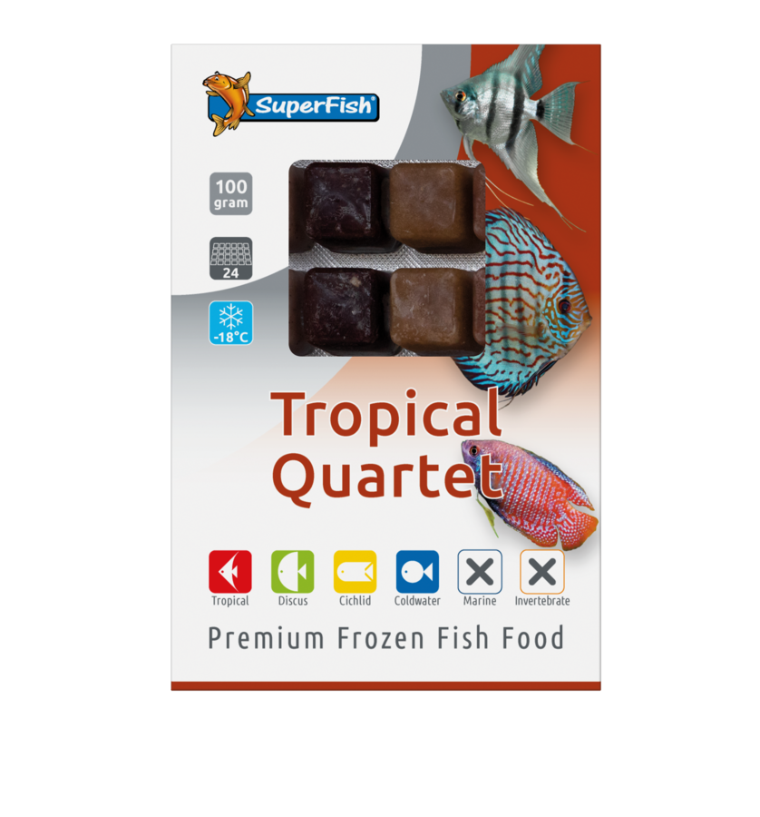 Superfish Frozen Tropical Quartet Blister