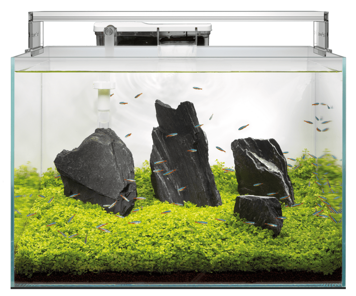 Superfish Scaper Tropical Aquarium - Perfect Aquatics Ltd