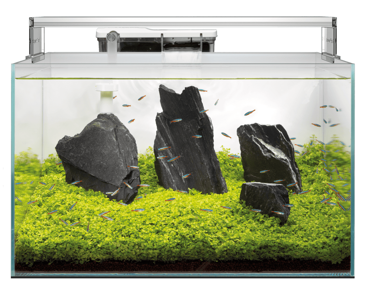 Superfish Scaper Tropical Aquarium - Perfect Aquatics Ltd