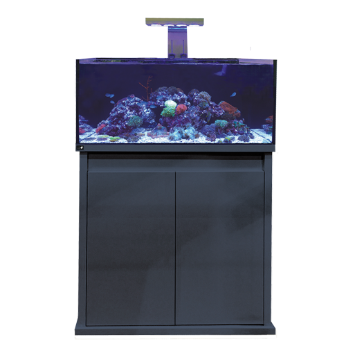 D-D Reef-Pro 900 Aquarium - Clarisea Ready Sump