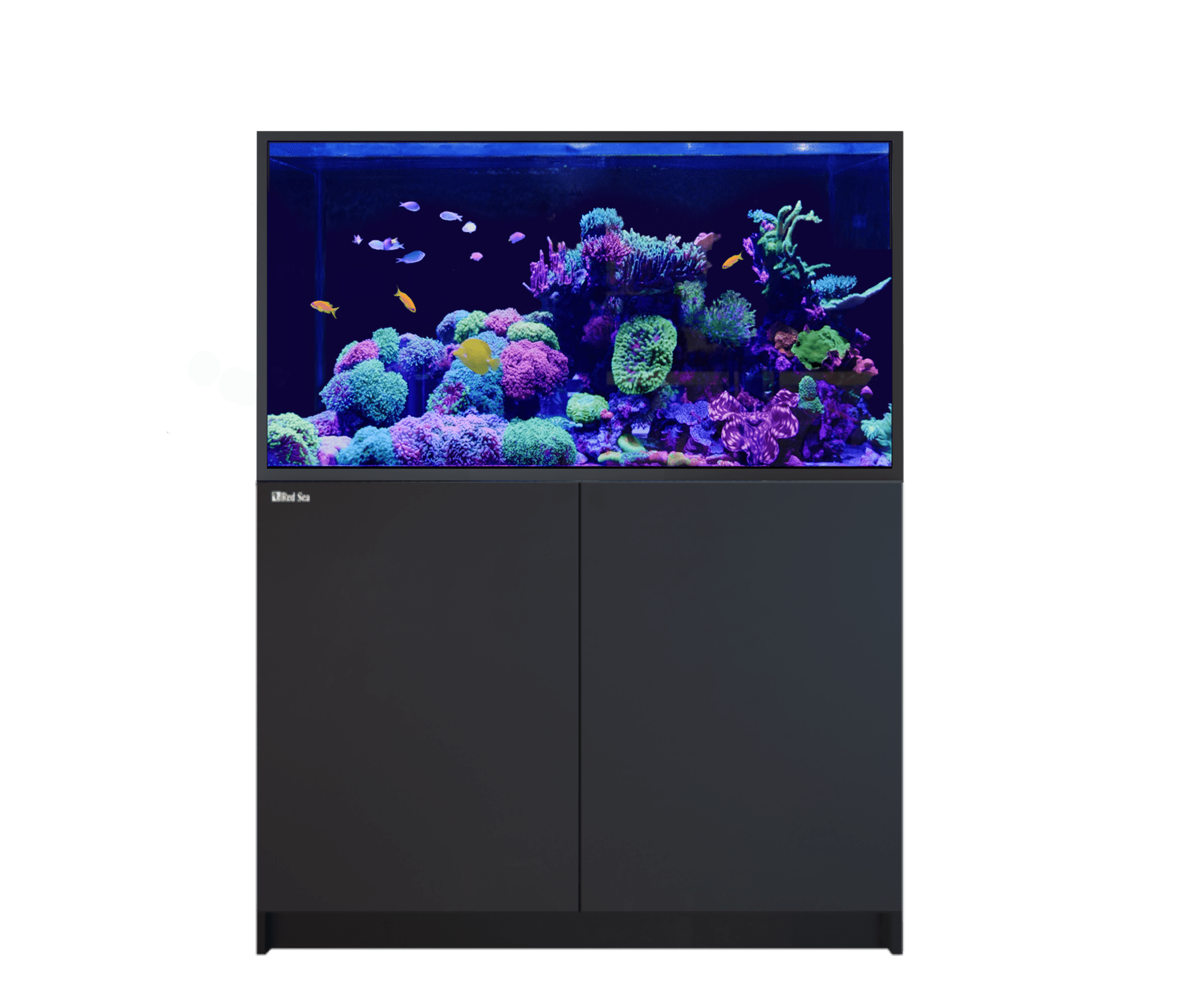 Red Sea Reefer - S G2+ 550 Aquarium - Perfect Aquatics Ltd