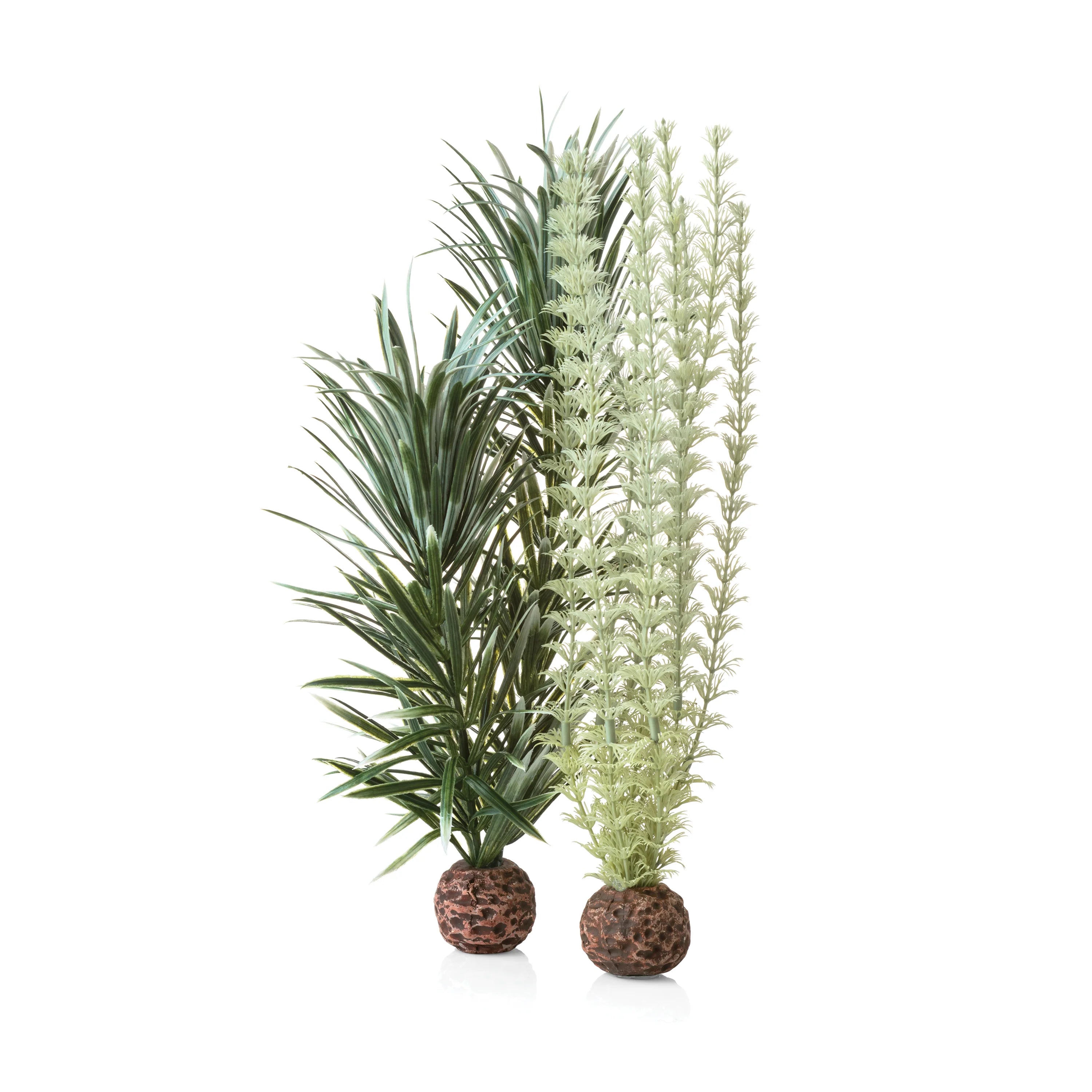 BiOrb Grey/Green Ambulia Plant Set - Medium