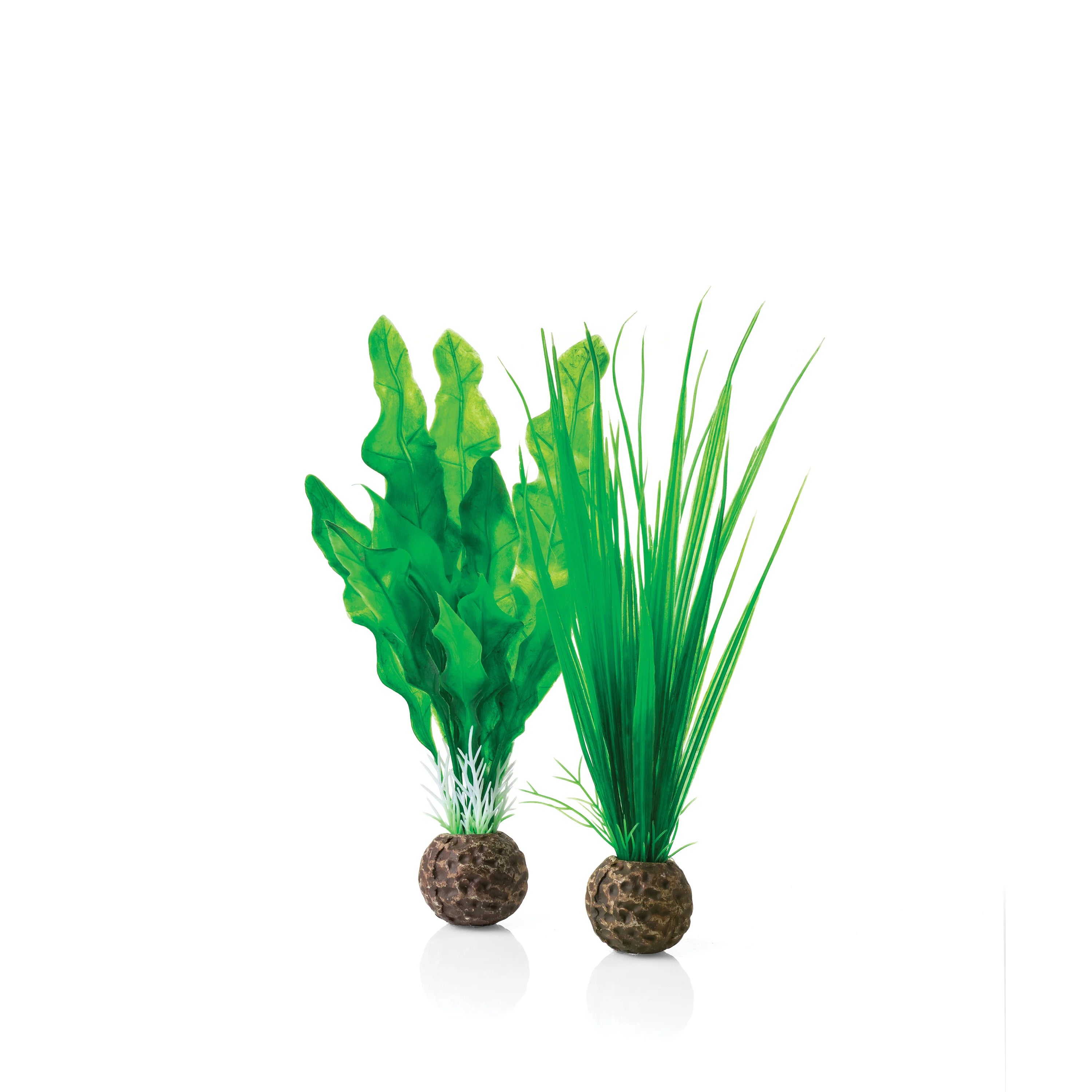 Biorb Easy Plant Set, Small Green
