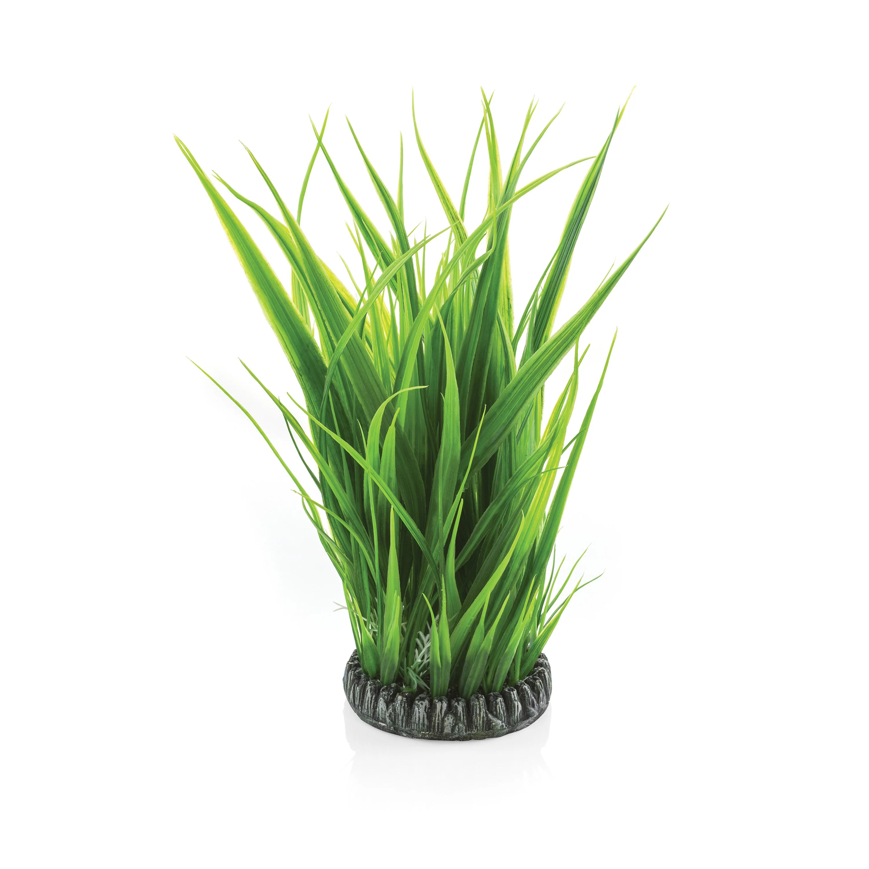 BiOrb Green Grass Ring - Large