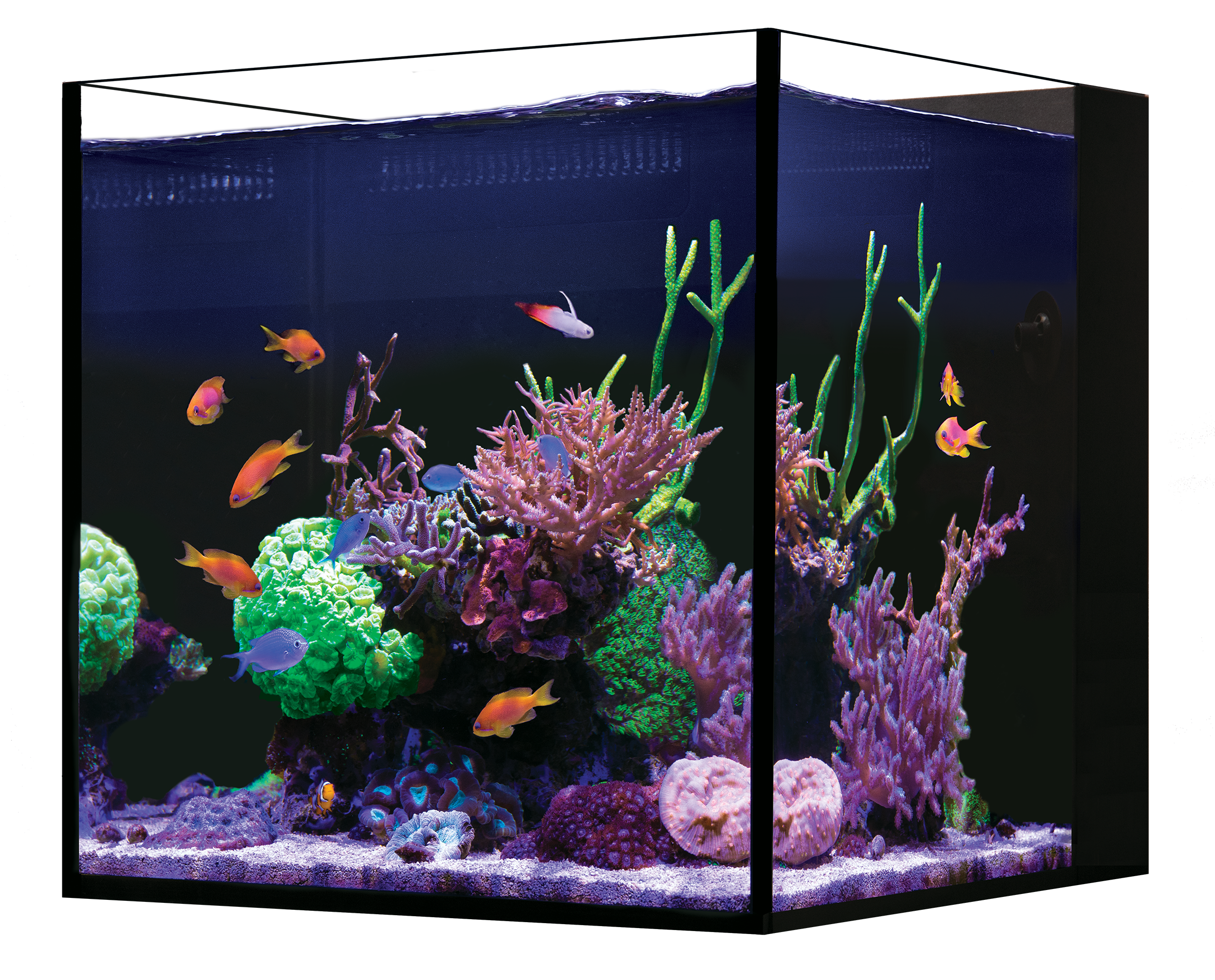 Red Sea Desktop Cube Aquarium And Cabinet