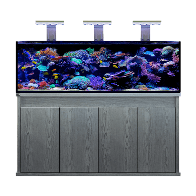 D - D Reef - Pro 1800 Deluxe - Clarisea Sump - Perfect Aquatics Ltd