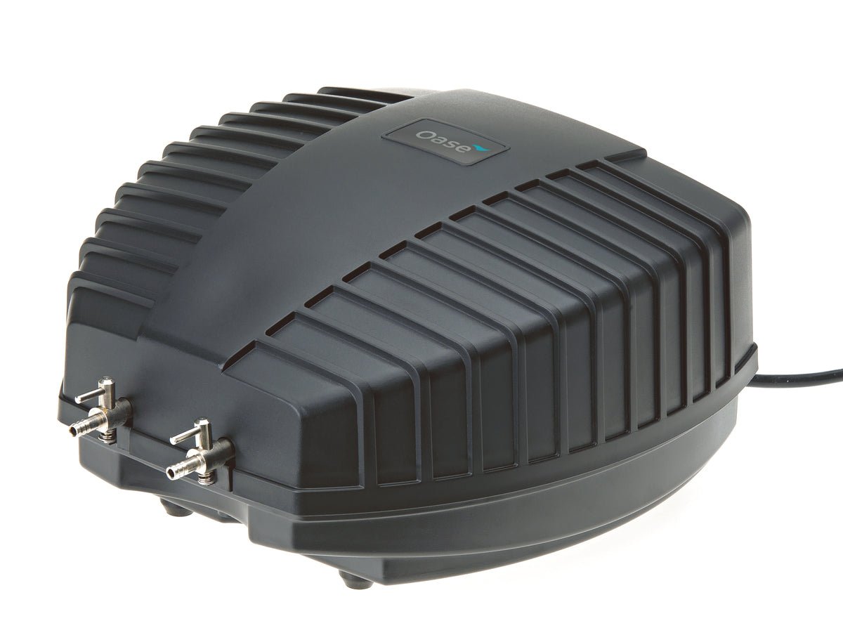 Oase AquaOxy Air Pump - Perfect Aquatics Ltd