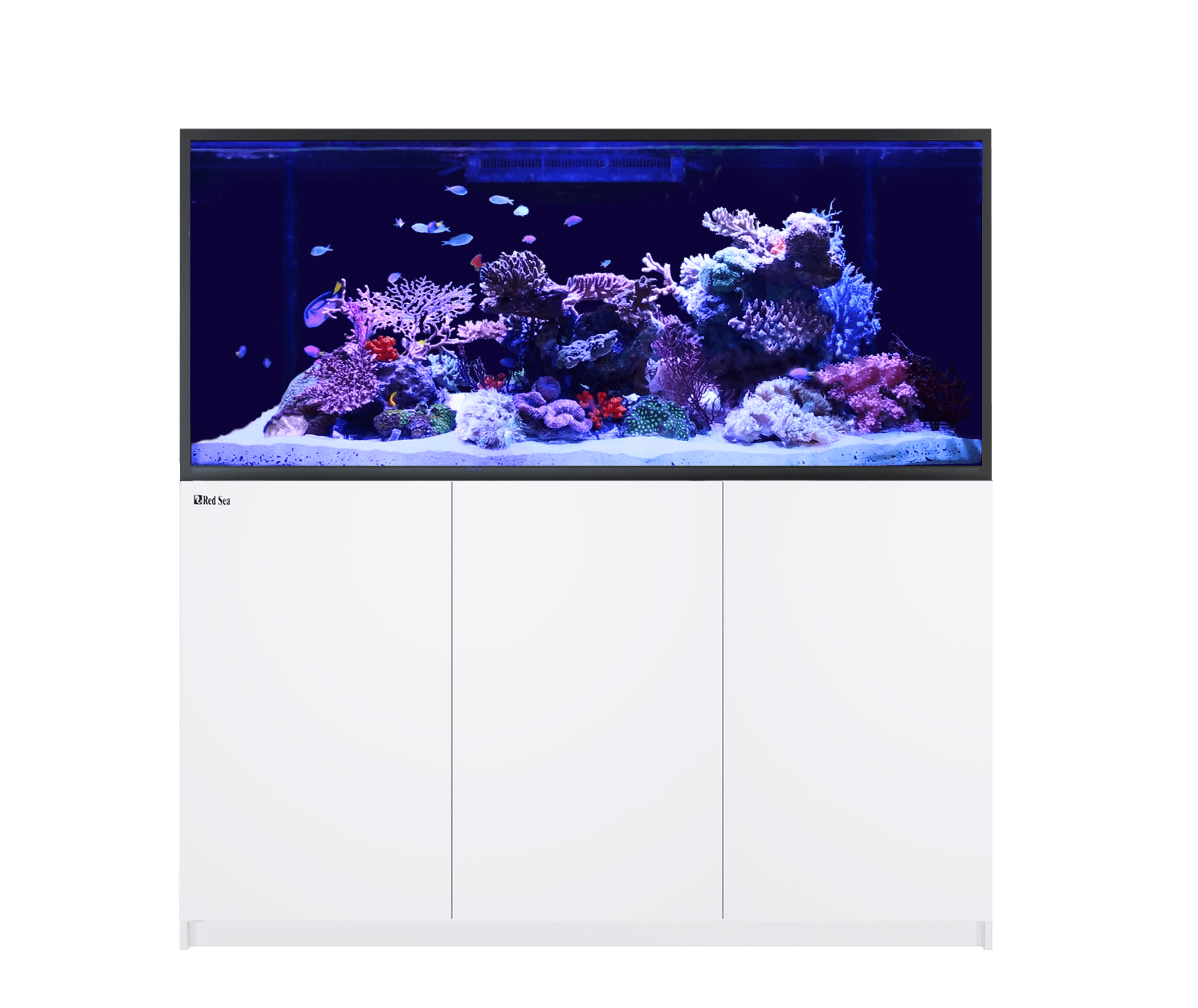 Red Sea Reefer - S G2+ 700 Aquarium - Perfect Aquatics Ltd