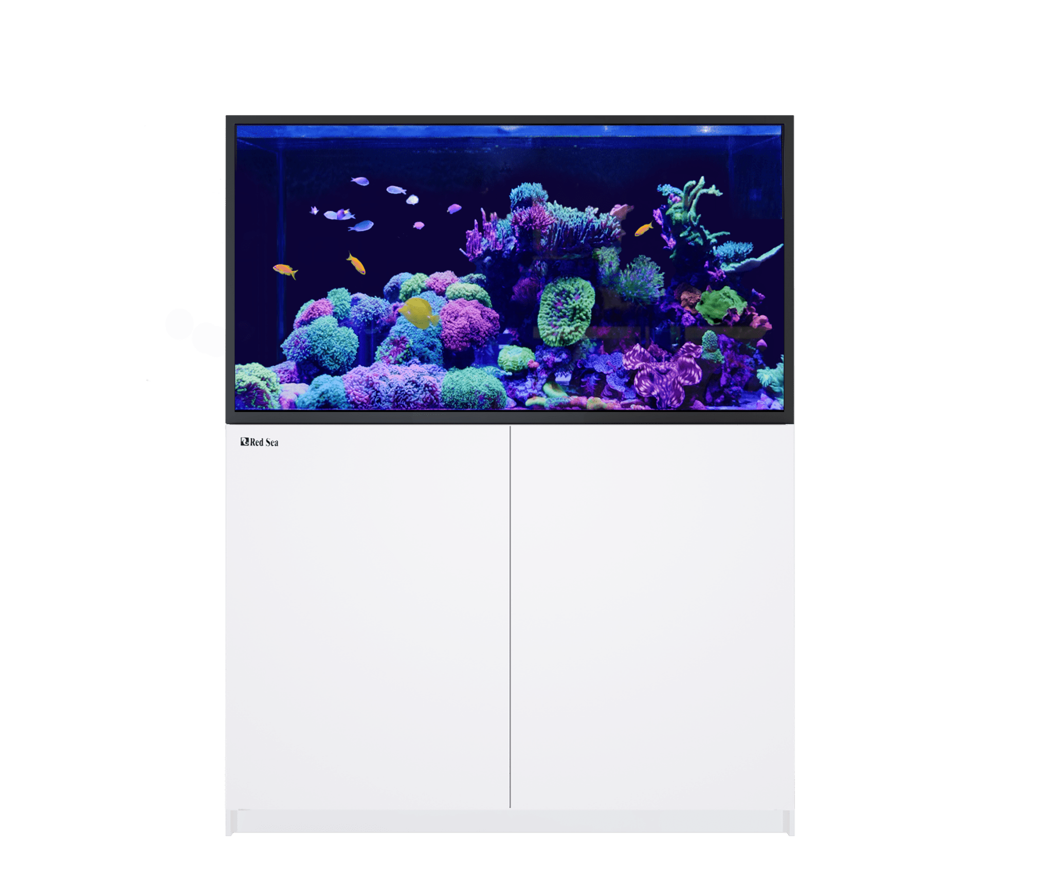 Red Sea Reefer - S G2+ 550 Aquarium - Perfect Aquatics Ltd