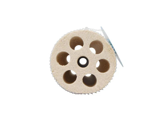Mountain Tree Lotus Root Bacteria House Gen 2