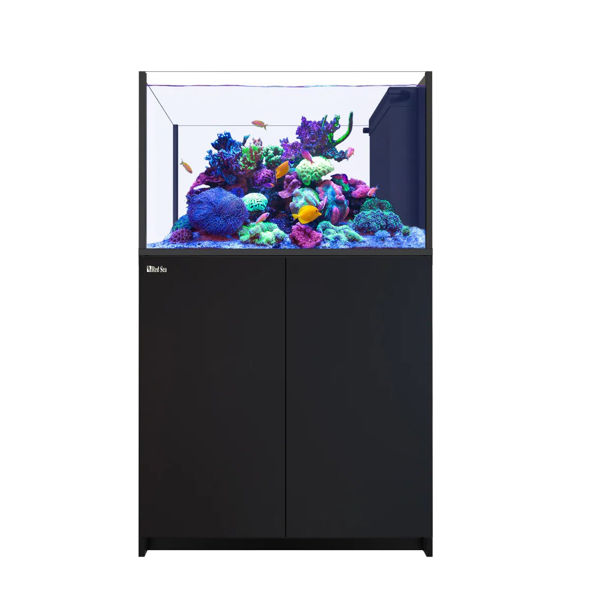 Red Sea Reefer Peninsula G3 350 Aquarium - Perfect Aquatics Ltd